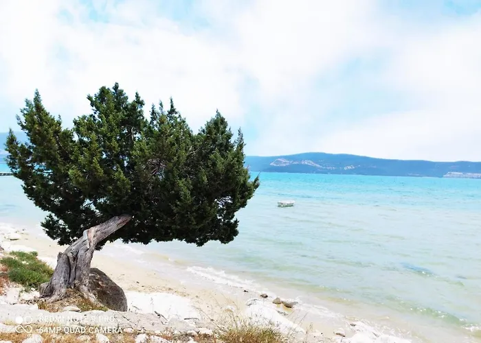 Stilvolle Mit Strandlage *